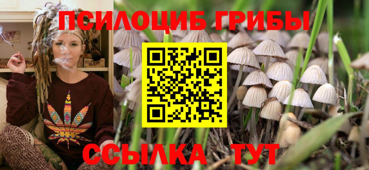 Галлюциногенные грибы Psilocybe  Вход с VPN  Воткинск 